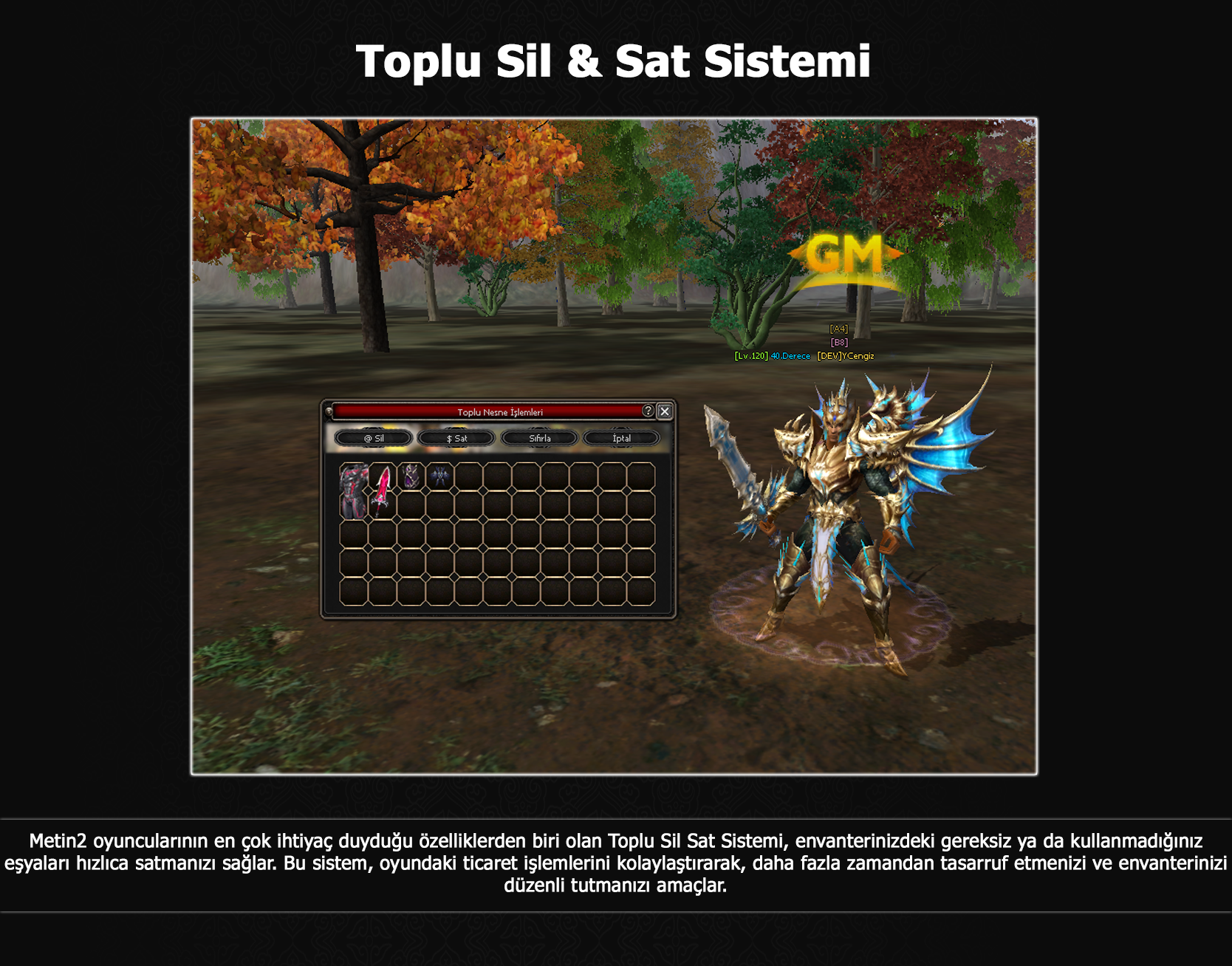 metin2 files, metin2 sunucu